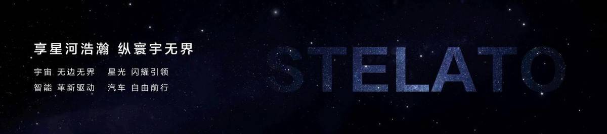 雖遲但到 上市一年之后享界S9有了Logo