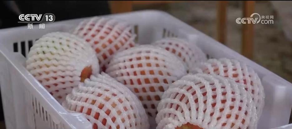 年中經濟觀察 | 電商成為農民致富“金鑰匙” 鄉村振興注入強勁動能