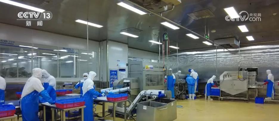 年中經濟觀察 | 電商成為農民致富“金鑰匙” 鄉村振興注入強勁動能